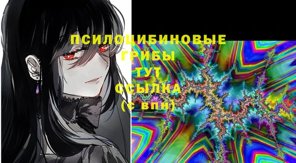 2c-b Волосово