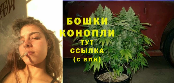 2c-b Волосово