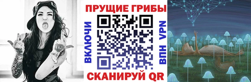 Псилоцибиновые грибы Psilocybe  Видное 